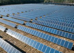 Solar Company Joins Multibillion Green Investment Spree in Republican States