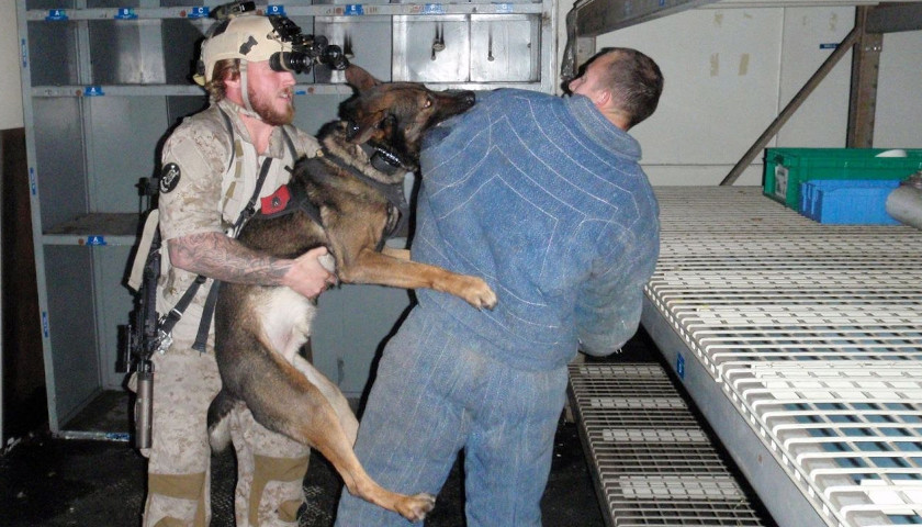 Exclusive: Bin Laden Raid Navy SEAL Recalls His Dog Cairo Fighting There with Him