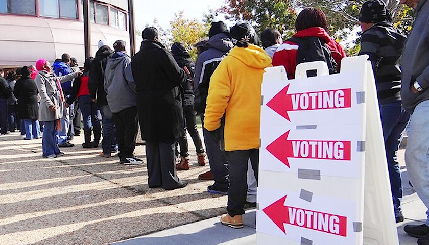 Video Series Highlights Push for Stricter Michigan Voting Laws