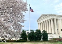Supreme Court with a cherry blossom in the foreground