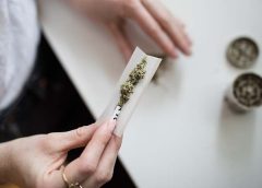 Person making a marijuana joint