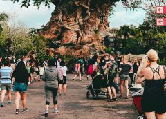 Disney's Animal Kingdom Tree of Life