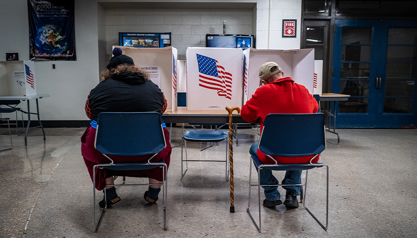Michigan, Minnesota Among States Democrats Move to Rewrite State Voting Laws After Midterm Wins