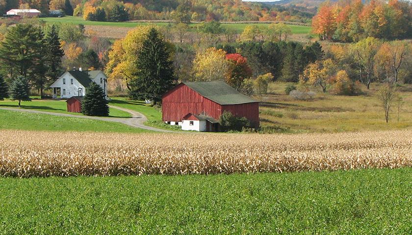themichiganstar.com - The Center Square - Agriculture Economists See Several Concerns for Farmers in 2023