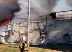 Investigation Launched Into 3-Alarm Blaze That Killed 100,000 Chickens at Hillandale Connecticut Egg Farm